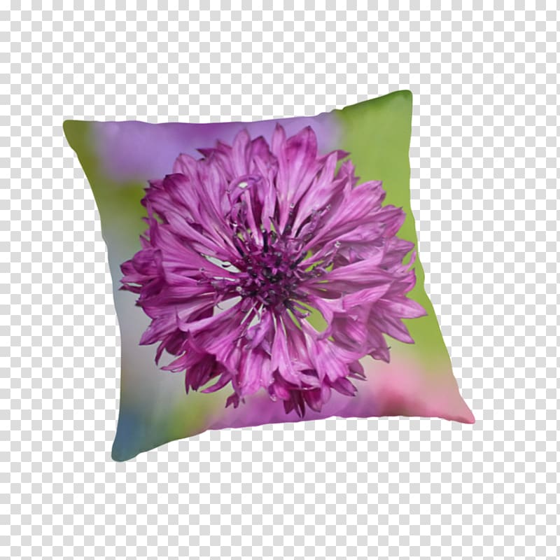 Throw Pillows Cushion Flowering plant, cornflower transparent background PNG clipart