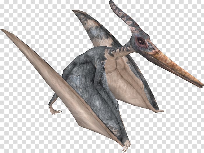 Fauna Beak, Pteranodon transparent background PNG clipart