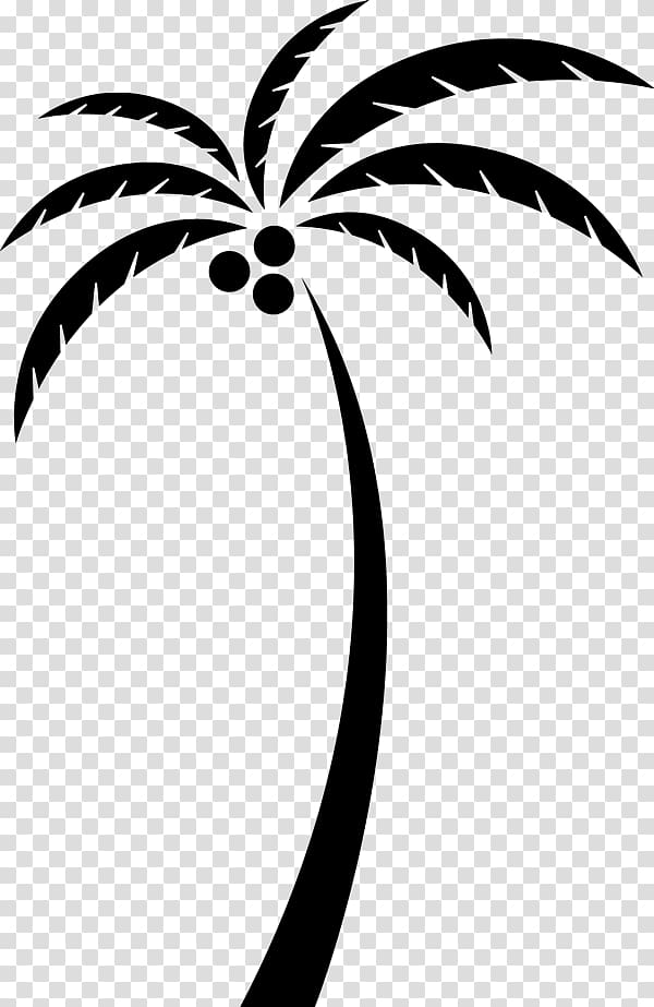 Coconut Arecaceae Tree , Coconut tree silhouette transparent background PNG clipart