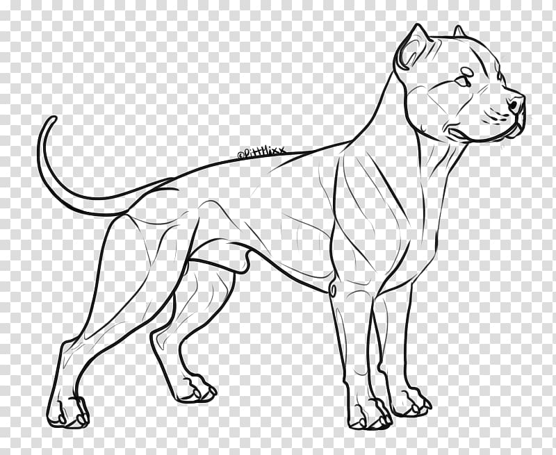 Line art Dog breed American Bully American Pit Bull Terrier, american bulldog transparent background PNG clipart