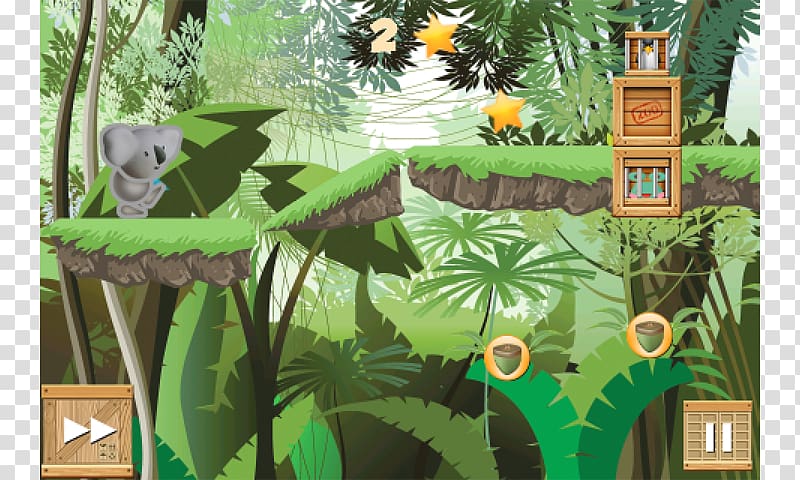 Biome, Amazon Forest transparent background PNG clipart