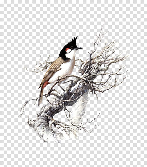 Dog Bird Co goat Thunderstorm Aviculture, Chinese style transparent background PNG clipart