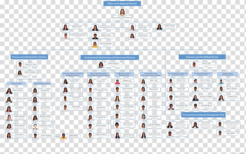 Supreme Court of the Philippines Organizational chart Government of the Philippines, airbus organizational chart transparent background PNG clipart