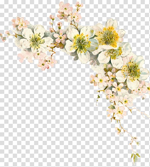 The Tale of the Flopsy Bunnies Floral design Flower Baptism , flower transparent background PNG clipart