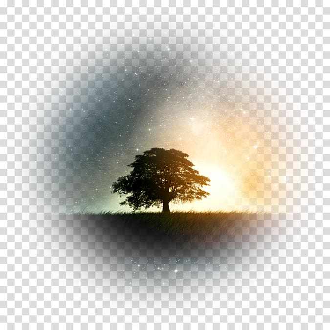 Fantasy tree illustration transparent background PNG clipart