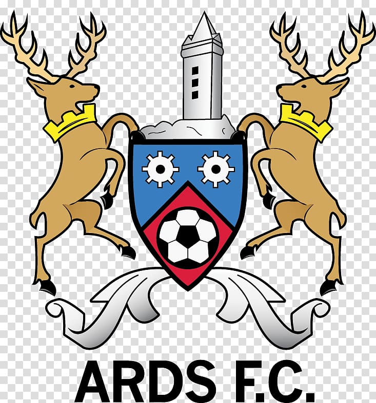 Ards F.C. Cliftonville F.C. NIFL Premiership Coleraine F.C., football transparent background PNG clipart