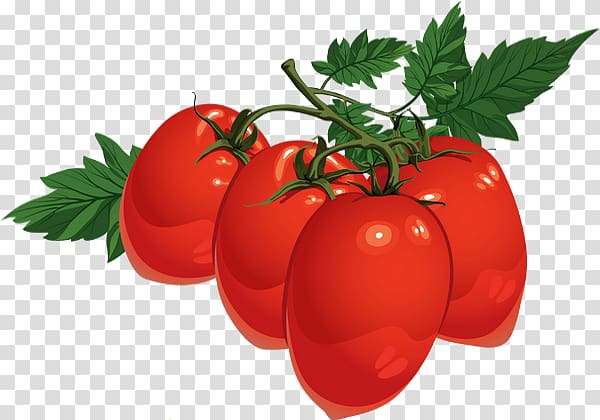 Tomato juice Cherry tomato Encapsulated PostScript Food, Tomato DRAWING transparent background PNG clipart