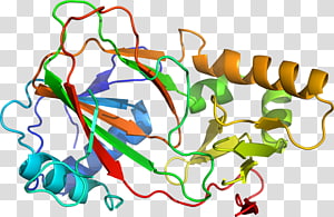 Line Point , line transparent background PNG clipart thumbnail