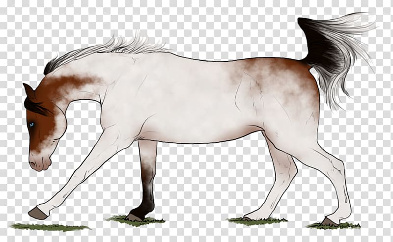 Mane Foal Stallion Colt Mustang, mustang transparent background PNG clipart