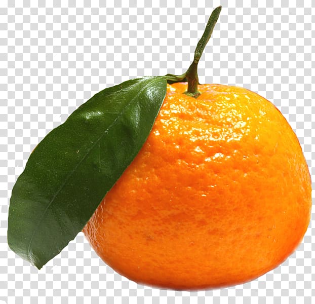 Clementine Fruit Tangerine Food Mandarin orange, grapefruit transparent background PNG clipart