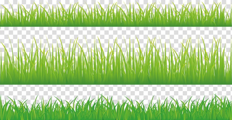 Green Illustration, Decorative grass transparent background PNG clipart