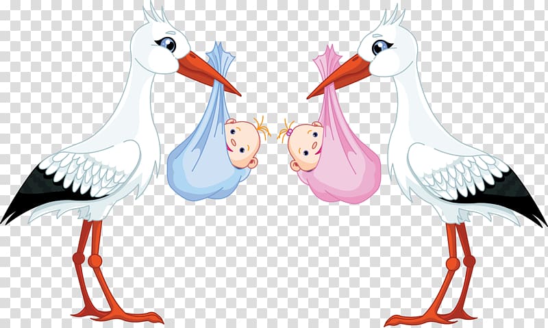 Infant , Stork and baby transparent background PNG clipart