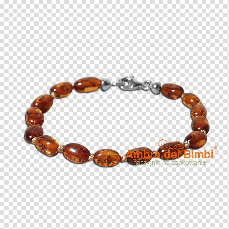 Baltic amber Bracelet Necklace Child, necklace transparent background PNG clipart