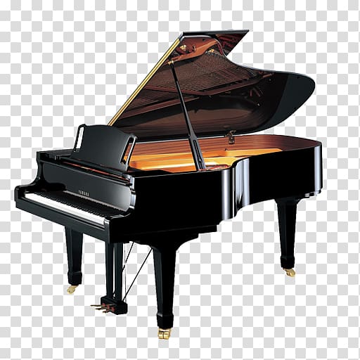 Grand piano Yamaha Corporation Steinway & Sons Disklavier, piano transparent background PNG clipart