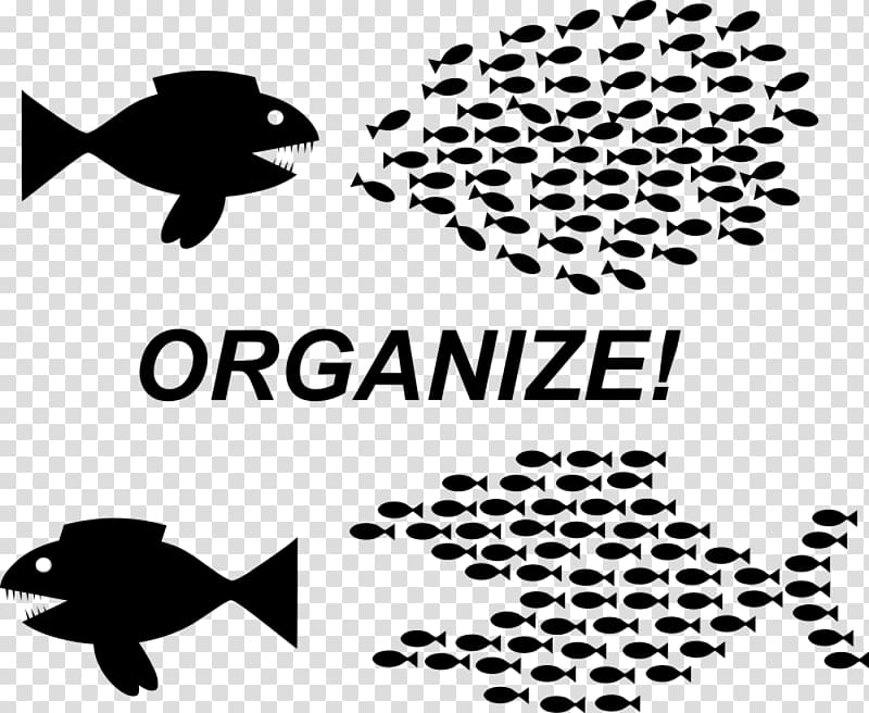 Community organizing Community organization Trade union, Organize transparent background PNG clipart