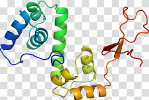 Organism , design transparent background PNG clipart thumbnail