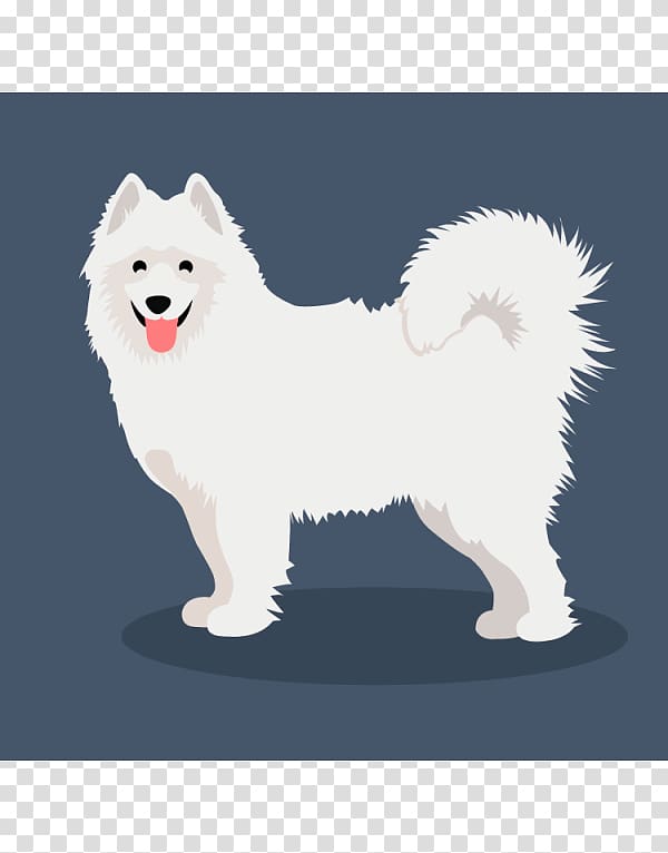 German Spitz Klein German Spitz Mittel American Eskimo Dog Japanese Spitz Canadian Eskimo dog, Samoyed Dog transparent background PNG clipart