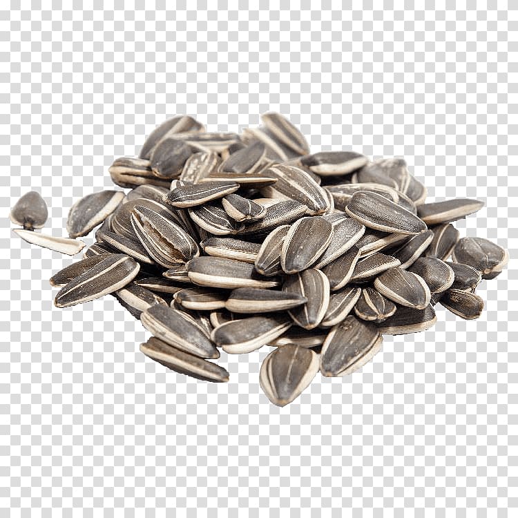 Sunflower seed Common sunflower Eating Food, salt transparent background PNG clipart