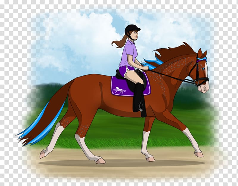 Horse Equestrian Western riding Bridle English riding, take back? transparent background PNG clipart