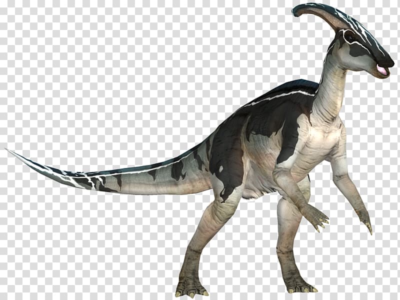 Velociraptor Parasaurolophus Dinosaur Troodon , dinosaur transparent background PNG clipart