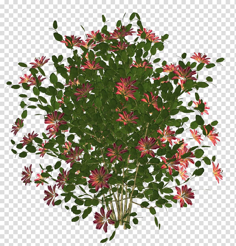 Flower 3D rendering , potted plants transparent background PNG clipart