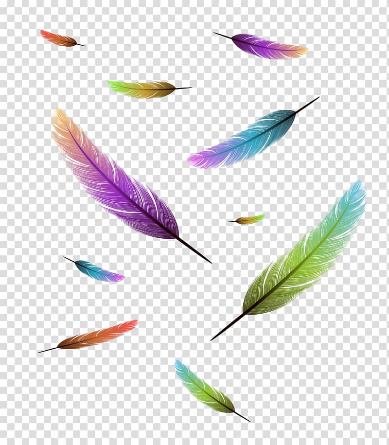 Bird Feather Drawing , feather transparent background PNG clipart
