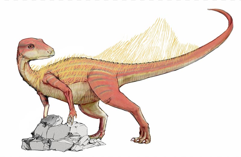 Abrictosaurus Heterodontosaurus Sinemurian Lycorhinus Dinosaur, dinosaur transparent background PNG clipart