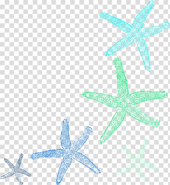 Starfish , seabed transparent background PNG clipart