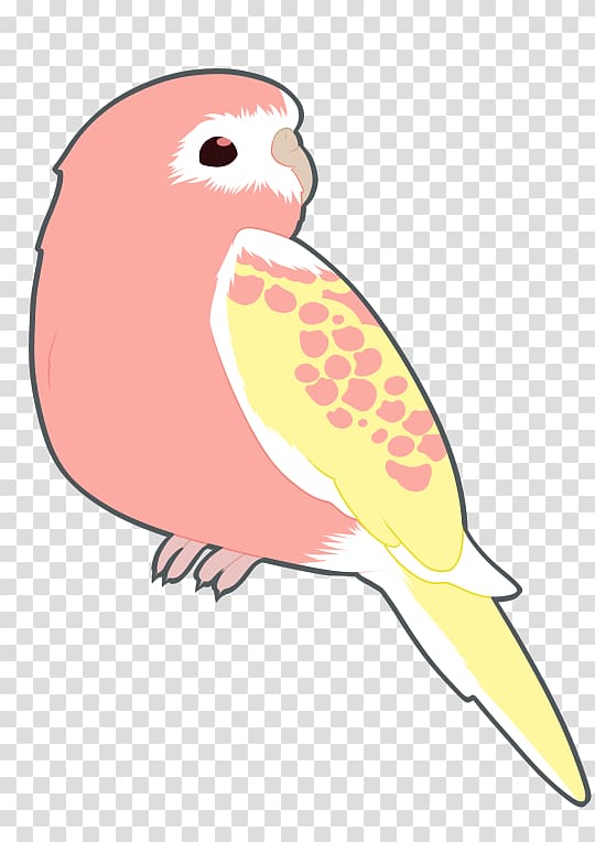 Budgerigar Bird Cockatiel Parakeet, bird transparent background PNG clipart