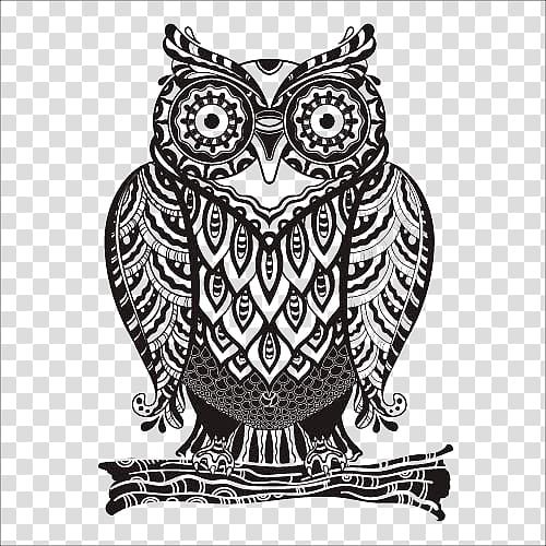 Owl Drawing Euclidean , owl transparent background PNG clipart