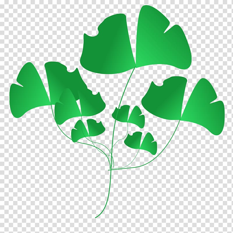 , banana leaves transparent background PNG clipart