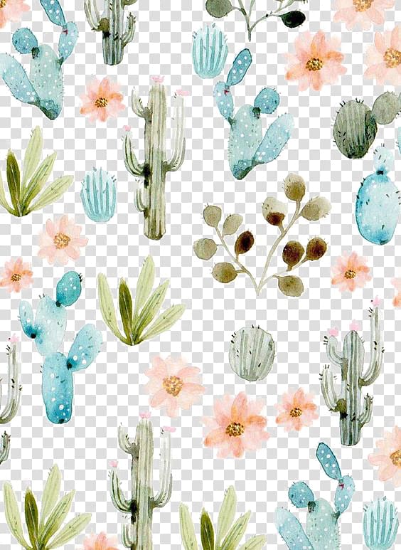 Cactaceae Succulent plant , cactus, assorted-color flowers illustration transparent background PNG clipart