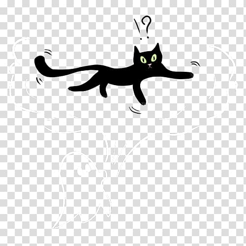 Whiskers Cat Keyword Tool , Indienight transparent background PNG clipart