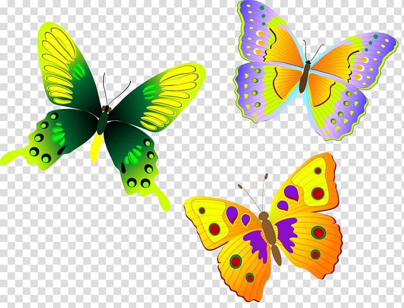 Monarch butterfly Euclidean , Fun Colorful butterfly beautiful animal transparent background PNG clipart