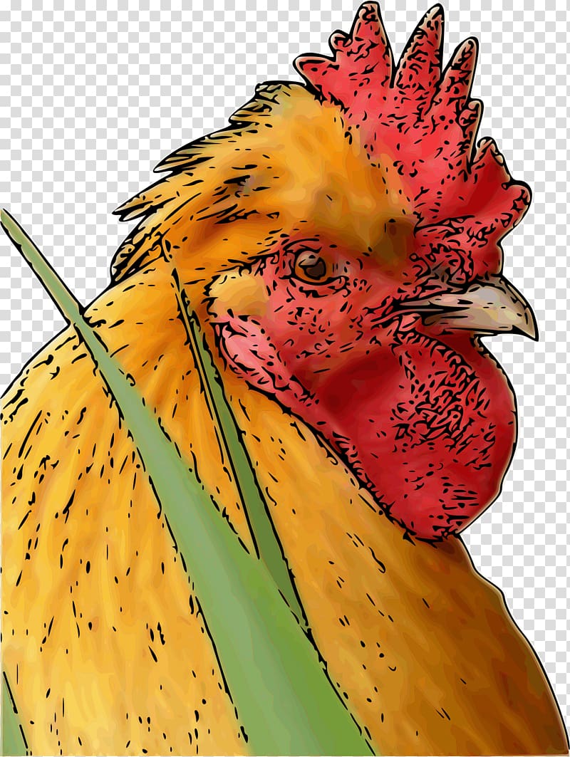 Rooster Chicken Poultry farming Bird Phasianidae, rooster transparent background PNG clipart