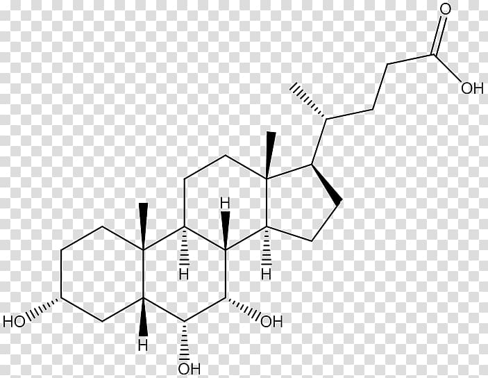 Bile acid Chenodeoxycholic acid Acetic acid, Alpha Hydroxy Acid transparent background PNG clipart