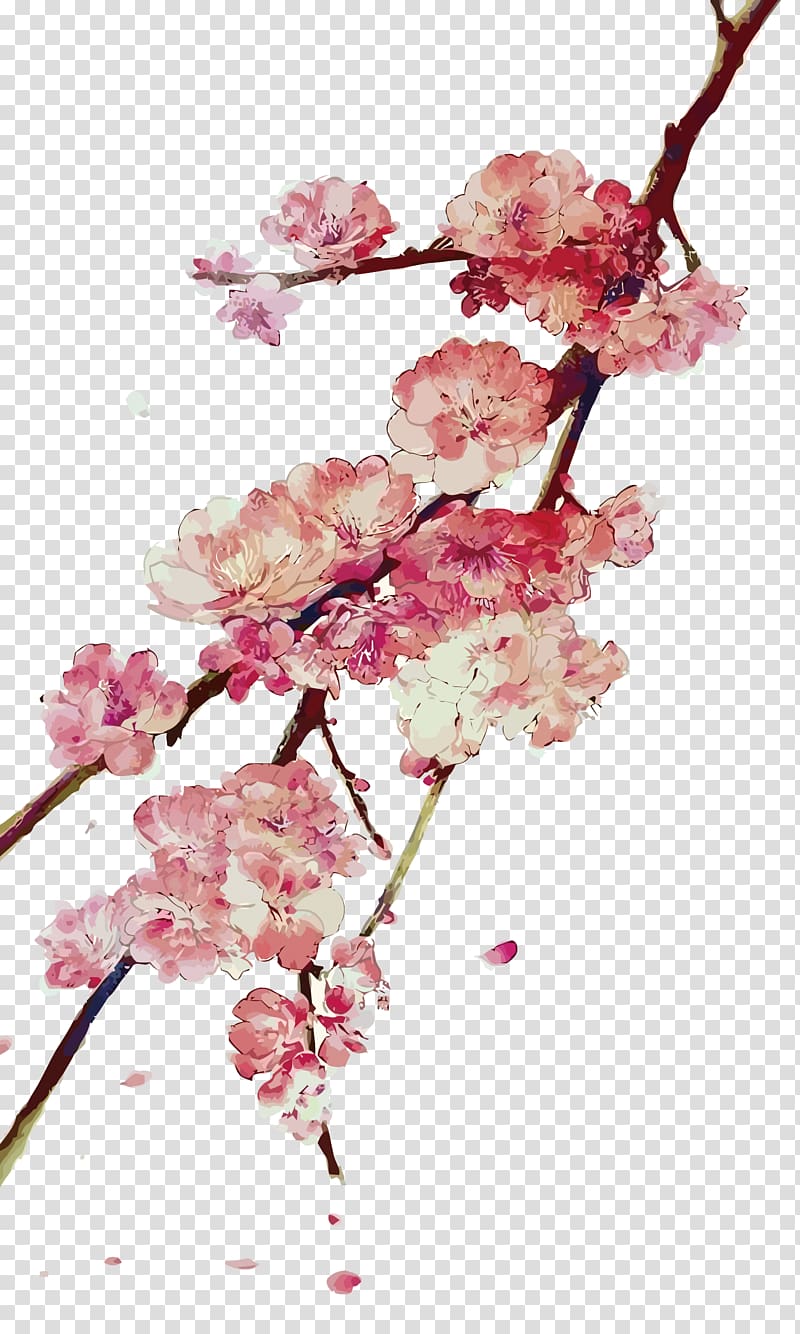 pink cherry blossoms illustration, 2017 MINI Cooper Blossom, plum blossom transparent background PNG clipart