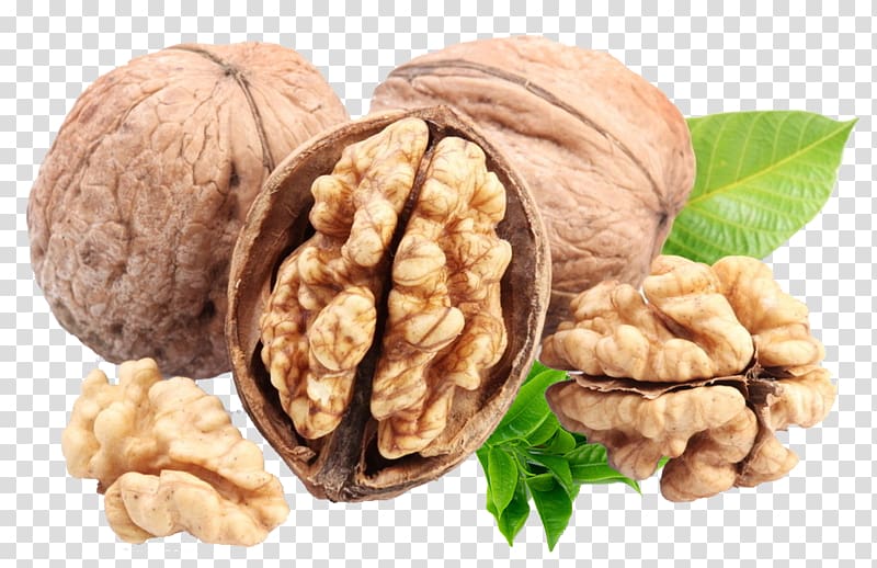 English walnut Omega-3 fatty acid Calorie Almond, walnut transparent background PNG clipart