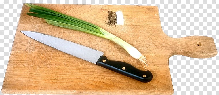 French onion soup Allium fistulosum Garlic Hamburger, green onion transparent background PNG clipart