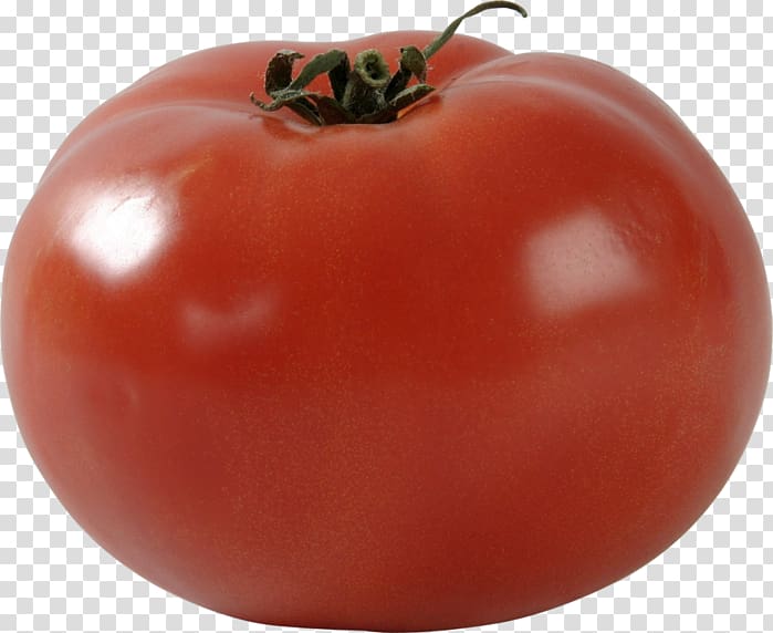 Plum tomato Bush tomato Food, tomato transparent background PNG clipart