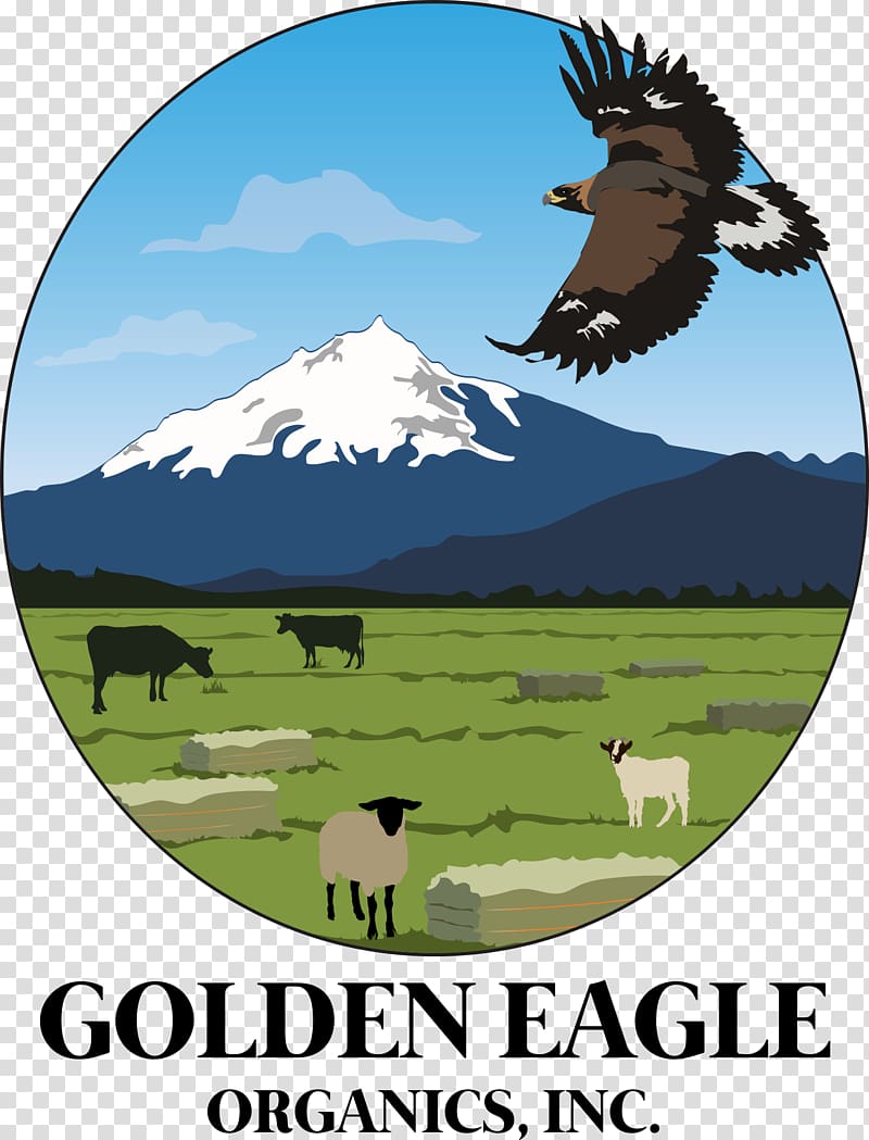 Golden Eagle Organics, Inc. Hay Cattle Organic food Goat meat, lamb transparent background PNG clipart