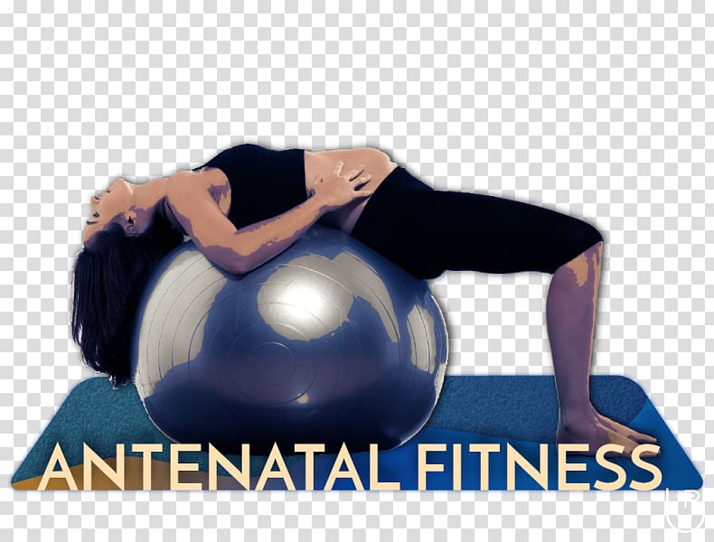 Fitolicious Pilates Exercise Balls, pregnancy transparent background PNG clipart