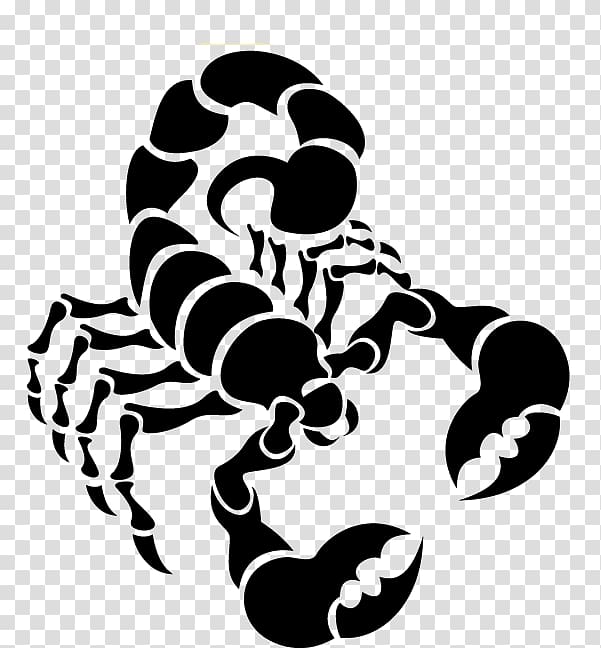 black scorpion illustration, Scorpion Euclidean , Scorpions transparent background PNG clipart