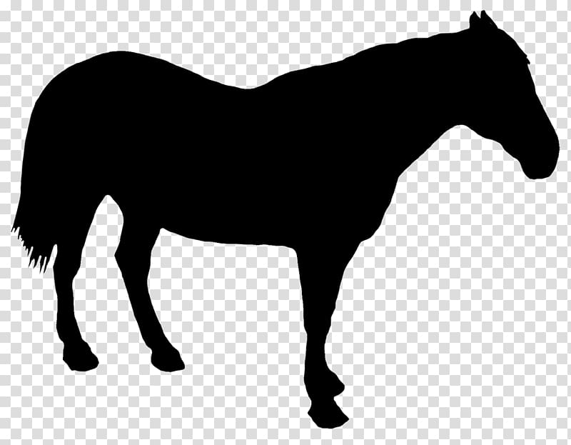 Draft horse Drawing Silhouette, horse riding transparent background PNG clipart