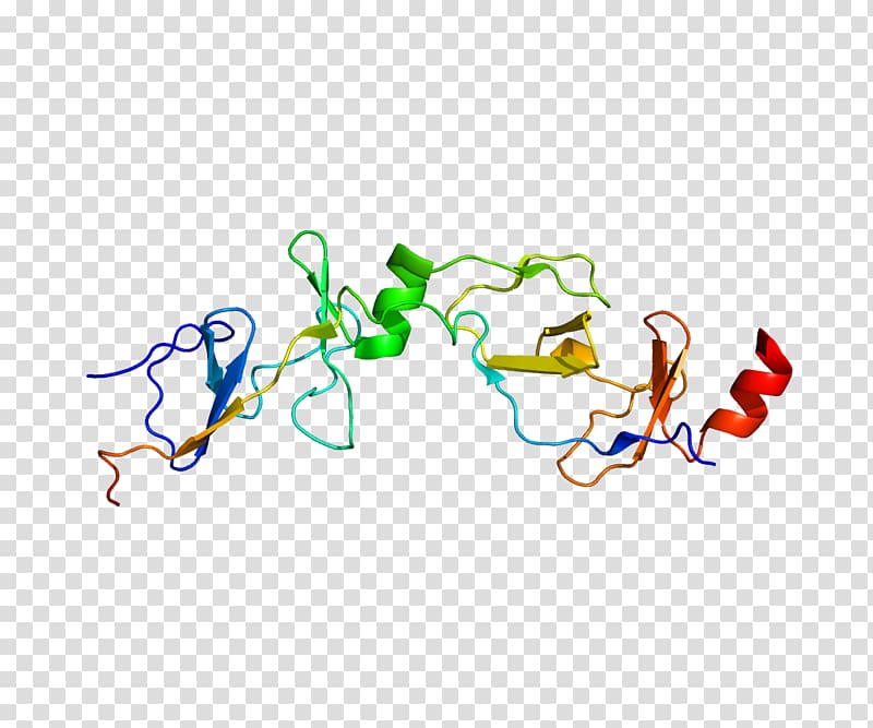 LMO2 LDB1 Protein Data Bank LIM domain, others transparent background PNG clipart