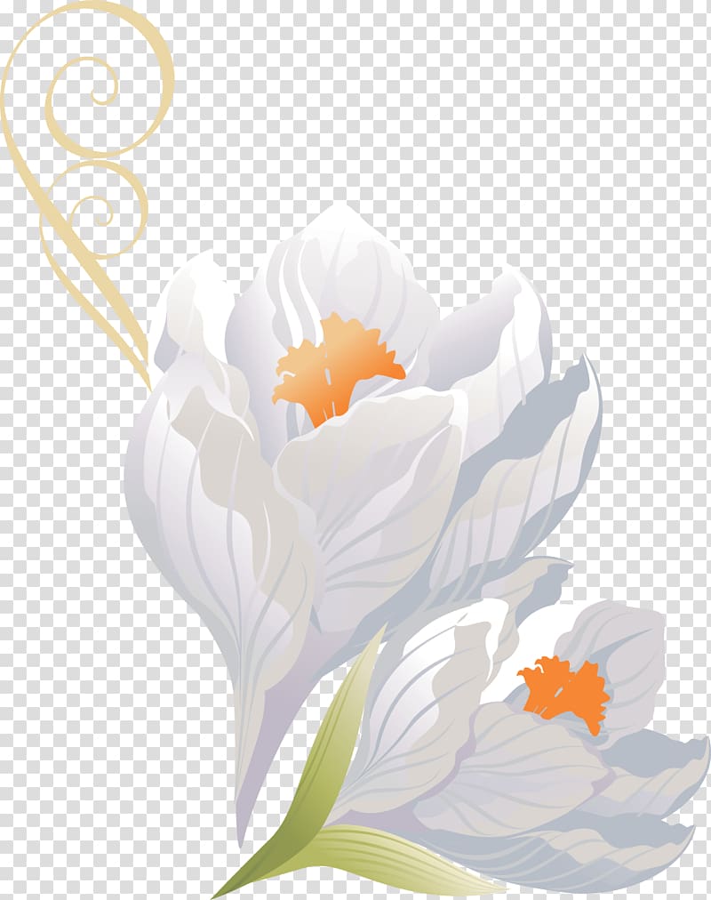 Flower Scape, crocus transparent background PNG clipart