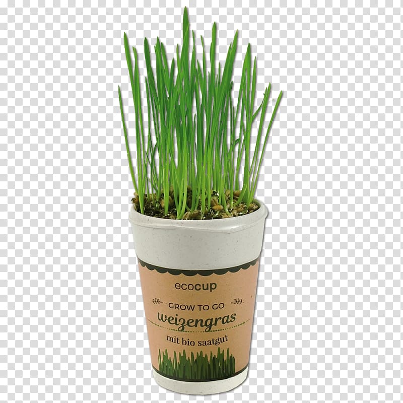 Wheatgrass Arabica coffee Grasses, wheat transparent background PNG clipart