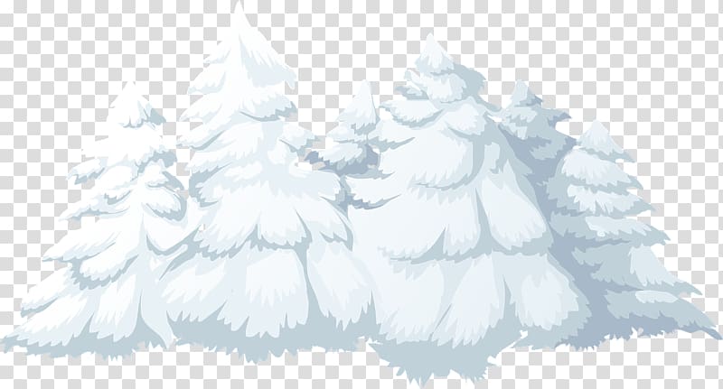 Cedar , snow tree transparent background PNG clipart