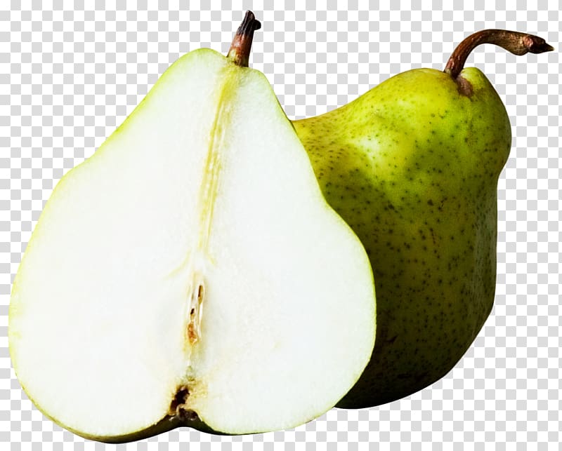 Pyrus nivalis Fruit, Pear transparent background PNG clipart