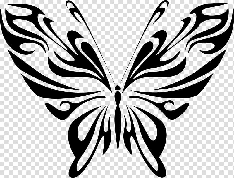 Butterfly Line art Drawing , butterflay transparent background PNG clipart